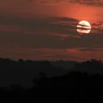 10 activities you can do while volunteering in the jungle