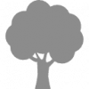 new-icon-tree-silhouette